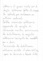 Leggi tutto: I colori dell'Autunno e... non solo!